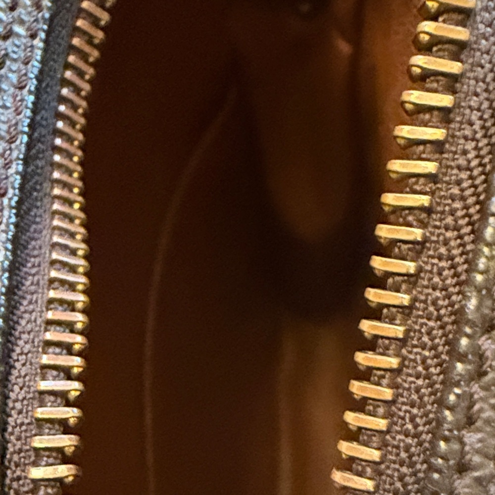 Louis Vuitton Monogram Crossbody Amazon Bag - Picture 10 of 12